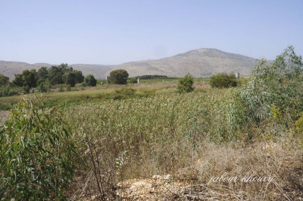 أراضي قرية العلمانية