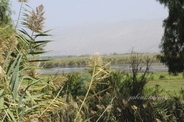 محمية الحولة على حدود قرية العلمانية الشمالية