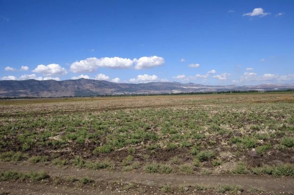  | موسوعة القرى الفلسطينية