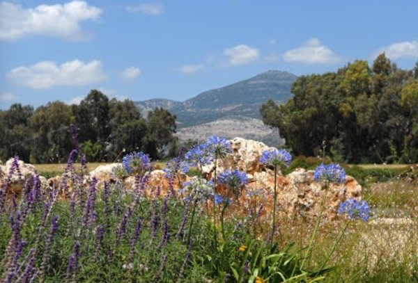 منظر بالقرب من القرية