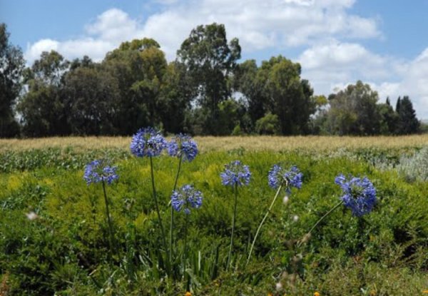 موقِع القرية وأراضيها