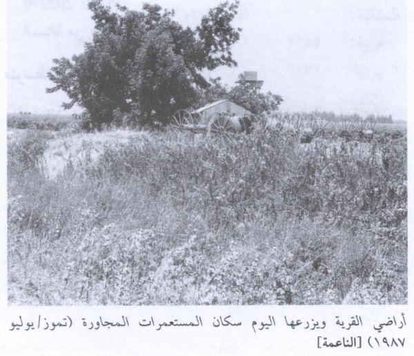 منظر عام لأراضي القرية عام 1986، من كتاب كي لاننسى منظر عام لأراضي القرية عام 1986، من كتاب كي لاننسى