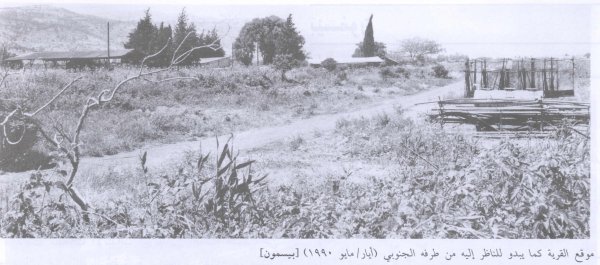 منظر لموقع القرية من الجهة الجنوبية، من كتاب كي لا ننسى الصورة عام 1990 منظر لموقع القرية من الجهة الجنوبية، من كتاب كي لا ننسى الصورة عام 1990