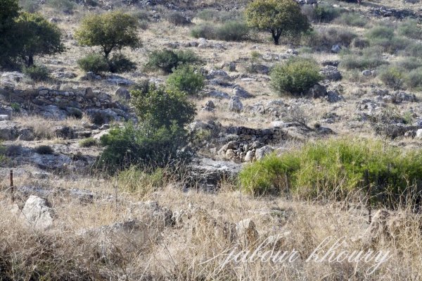  | موسوعة القرى الفلسطينية