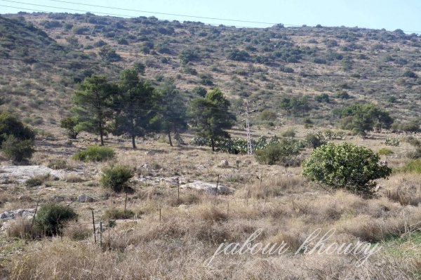  | موسوعة القرى الفلسطينية