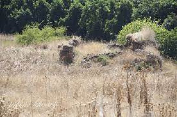  | موسوعة القرى الفلسطينية