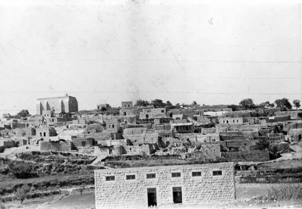 صورة نادرة لقرية صفصاف عام 1938 صورة نادرة لقرية صفصاف عام 1938