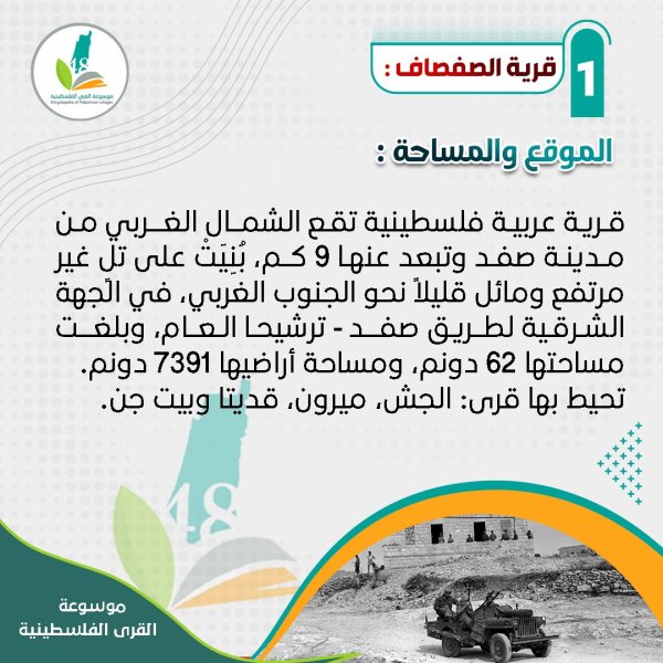 قرية الصفصاف- الموقع والمساحة