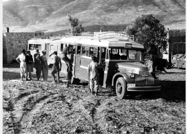 صورة للعصابات الصهيونية في قرية الصفصاف صورة للعصابات الصهيونية في قرية الصفصاف