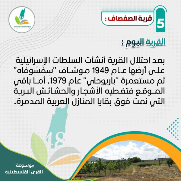 قرية الصفصاف- القرية اليوم