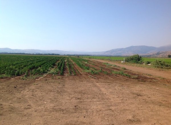 | موسوعة القرى الفلسطينية  | موسوعة القرى الفلسطينية