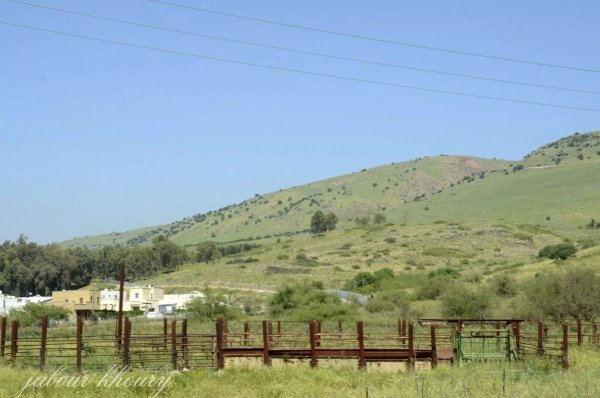 | موسوعة القرى الفلسطينية  | موسوعة القرى الفلسطينية