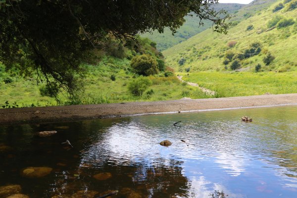 | موسوعة القرى الفلسطينية  | موسوعة القرى الفلسطينية