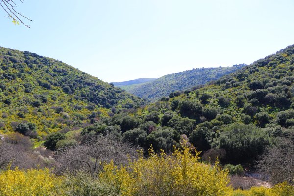 | موسوعة القرى الفلسطينية  | موسوعة القرى الفلسطينية