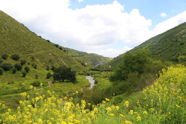 | موسوعة القرى الفلسطينية  | موسوعة القرى الفلسطينية