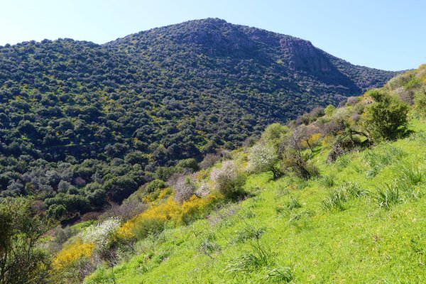 | موسوعة القرى الفلسطينية  | موسوعة القرى الفلسطينية