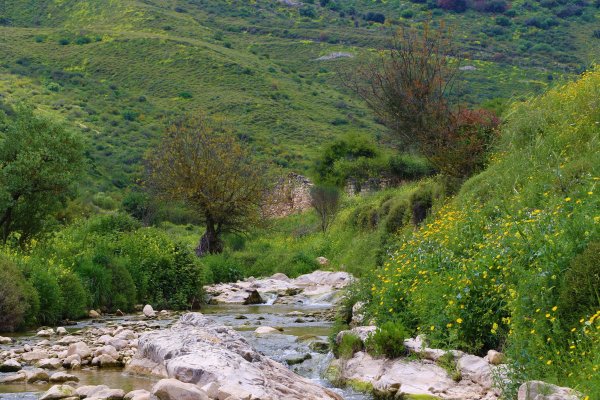 | موسوعة القرى الفلسطينية  | موسوعة القرى الفلسطينية