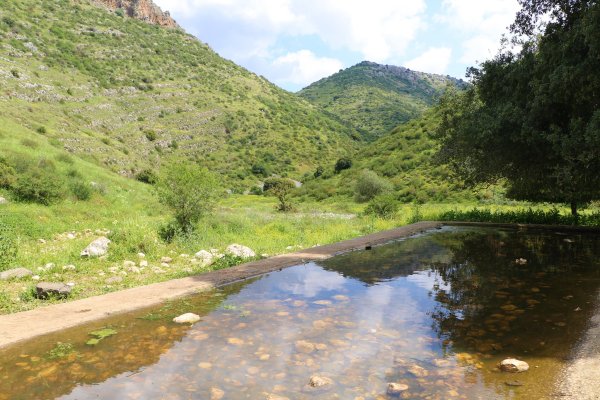 | موسوعة القرى الفلسطينية  | موسوعة القرى الفلسطينية