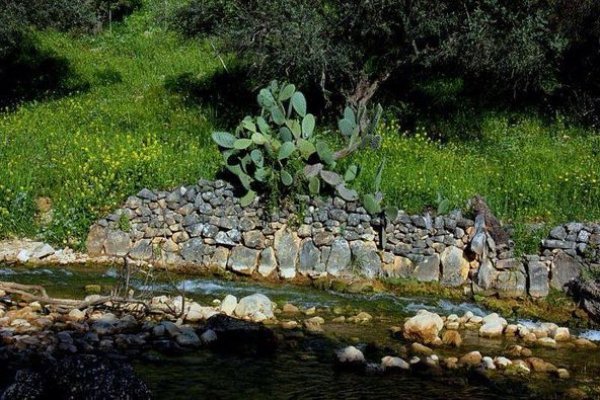 | موسوعة القرى الفلسطينية  | موسوعة القرى الفلسطينية