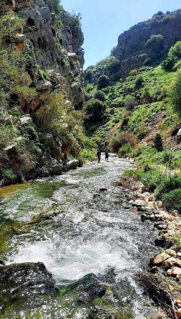 | موسوعة القرى الفلسطينية  | موسوعة القرى الفلسطينية