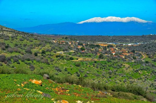 | موسوعة القرى الفلسطينية  | موسوعة القرى الفلسطينية