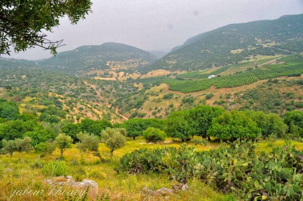 | موسوعة القرى الفلسطينية  | موسوعة القرى الفلسطينية