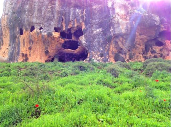 | موسوعة القرى الفلسطينية  | موسوعة القرى الفلسطينية