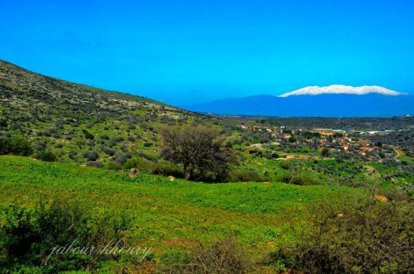 | موسوعة القرى الفلسطينية  | موسوعة القرى الفلسطينية