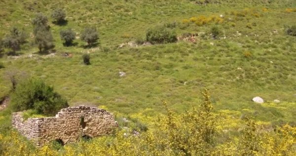 | موسوعة القرى الفلسطينية  | موسوعة القرى الفلسطينية