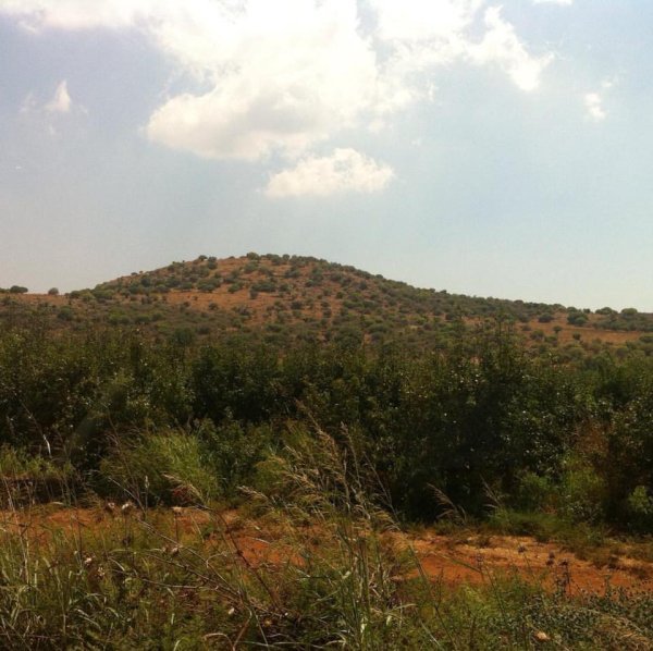 | موسوعة القرى الفلسطينية  | موسوعة القرى الفلسطينية