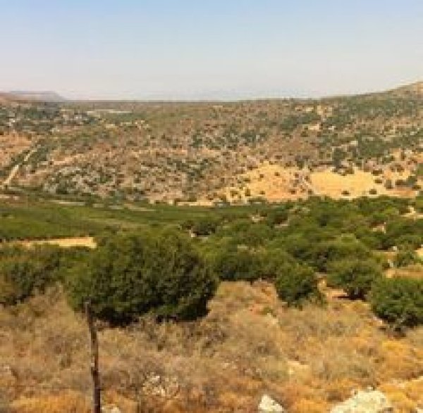 | موسوعة القرى الفلسطينية  | موسوعة القرى الفلسطينية