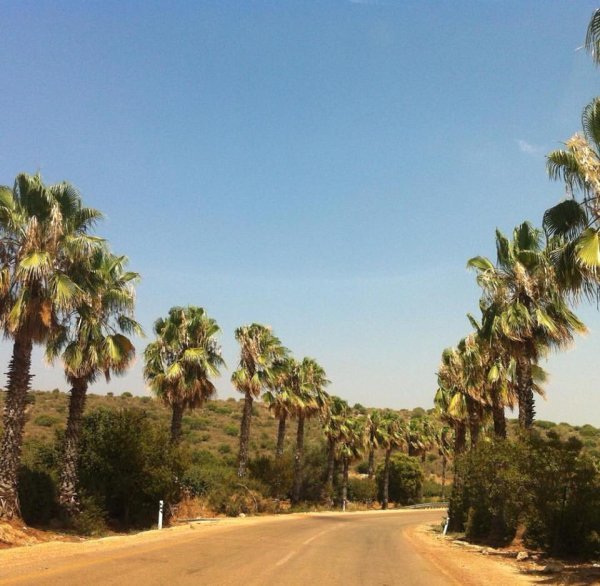 | موسوعة القرى الفلسطينية  | موسوعة القرى الفلسطينية