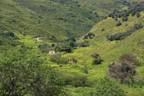 | موسوعة القرى الفلسطينية  | موسوعة القرى الفلسطينية