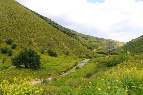| موسوعة القرى الفلسطينية  | موسوعة القرى الفلسطينية