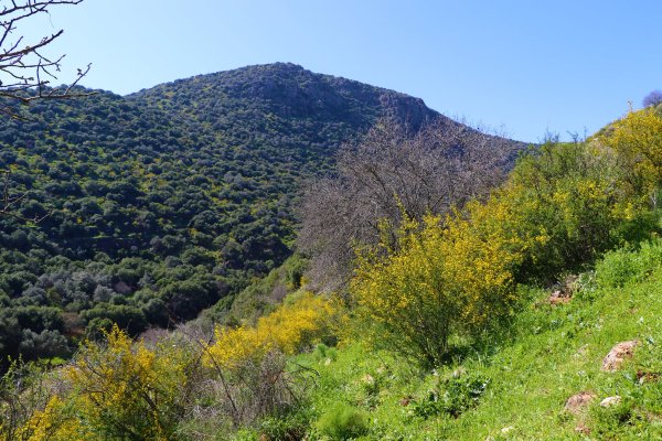 | موسوعة القرى الفلسطينية  | موسوعة القرى الفلسطينية