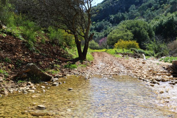 | موسوعة القرى الفلسطينية  | موسوعة القرى الفلسطينية