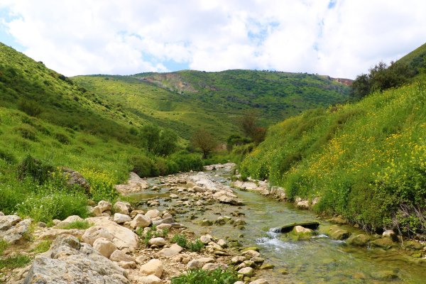 | موسوعة القرى الفلسطينية  | موسوعة القرى الفلسطينية