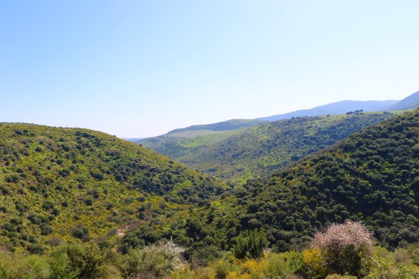 | موسوعة القرى الفلسطينية  | موسوعة القرى الفلسطينية