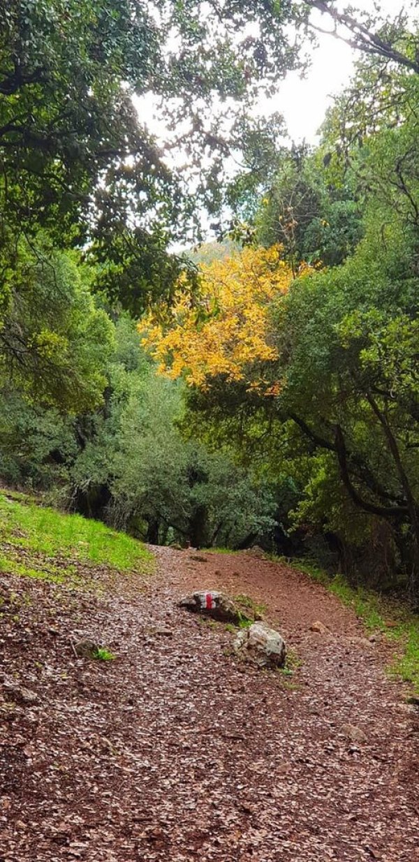 | موسوعة القرى الفلسطينية  | موسوعة القرى الفلسطينية