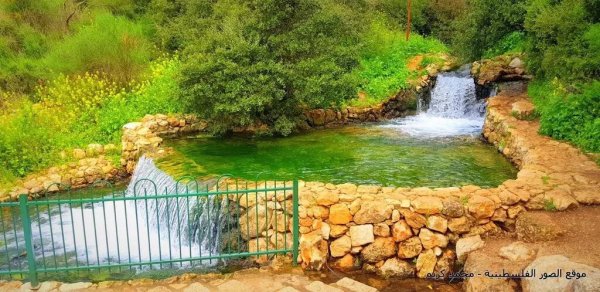 | موسوعة القرى الفلسطينية  | موسوعة القرى الفلسطينية