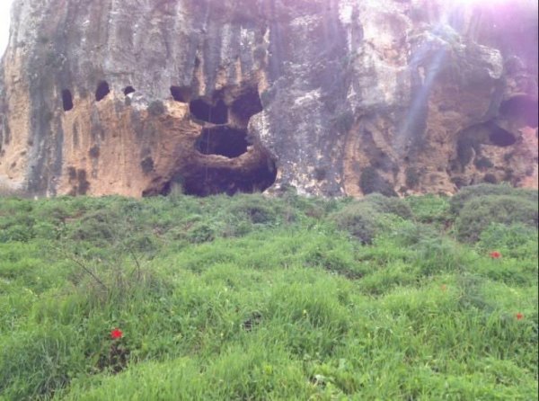 | موسوعة القرى الفلسطينية  | موسوعة القرى الفلسطينية