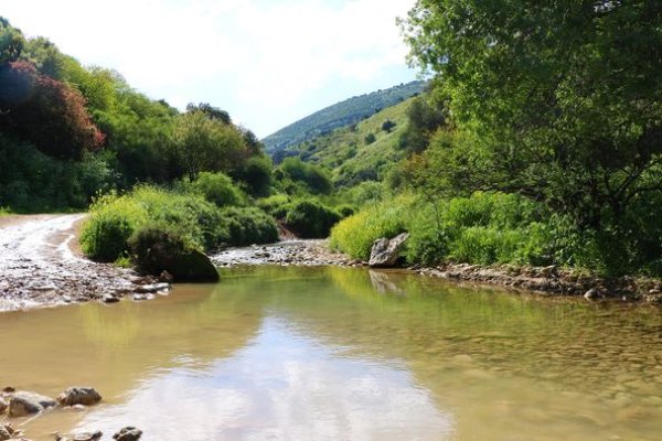 | موسوعة القرى الفلسطينية  | موسوعة القرى الفلسطينية