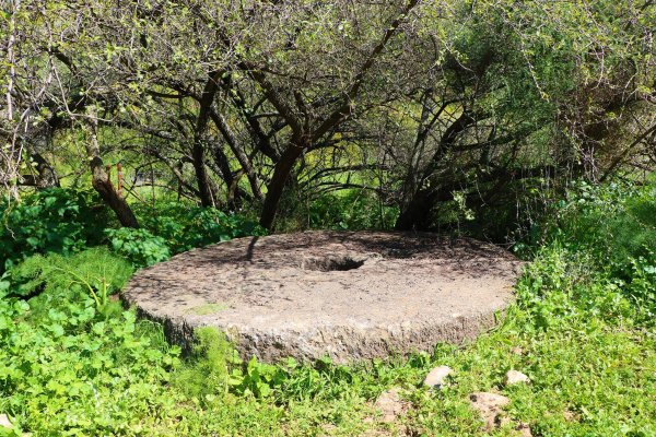 | موسوعة القرى الفلسطينية  | موسوعة القرى الفلسطينية