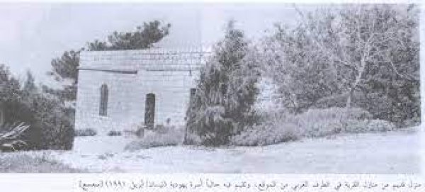 قرية سعسع قبل النكبة قرية سعسع قبل النكبة