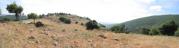 أراضي غباطية من الناحية الشرقية، بعدسة مقبولة نصار