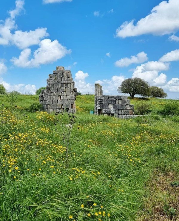  | موسوعة القرى الفلسطينية