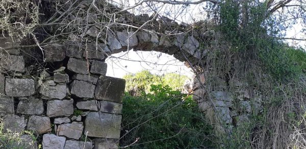 أراضي كفر برعم المهجرة، نقلاً عن صفحة الأستاذ قيس فحماوي