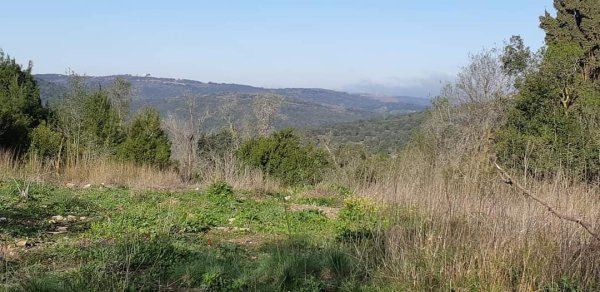 أراضي كفر برعم المهجرة، نقلاً عن صفحة الأستاذ قيس فحماوي