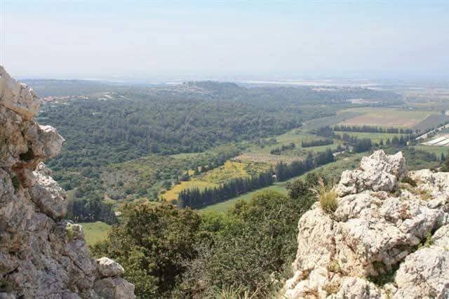 قرية كفر برعم المهجرة - صفد كفربرعم