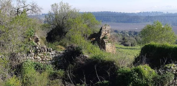 أراضي كفر برعم المهجرة، نقلاً عن صفحة الأستاذ قيس فحماوي